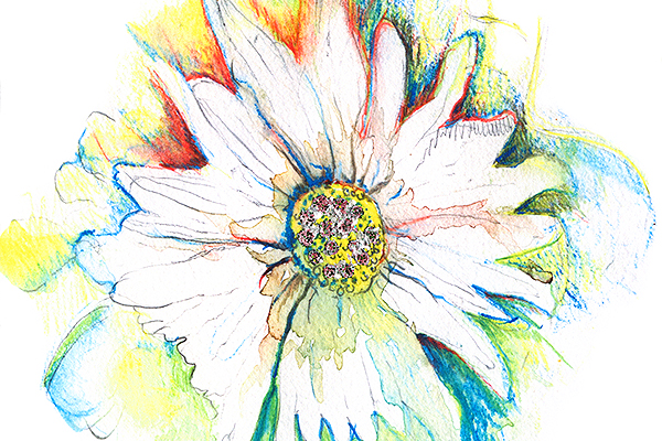 Painting of a flower